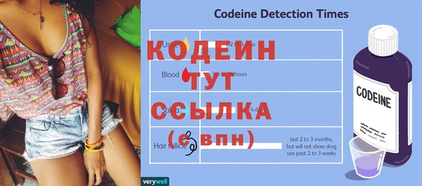 МДПВ Аша