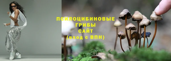 МДПВ Аша