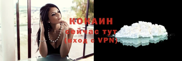 МДПВ Аша