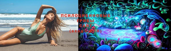 МДПВ Аша
