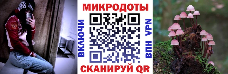 купить наркотики сайты  Белорецк  МЕГА как зайти  Галлюциногенные грибы Psilocybine cubensis 