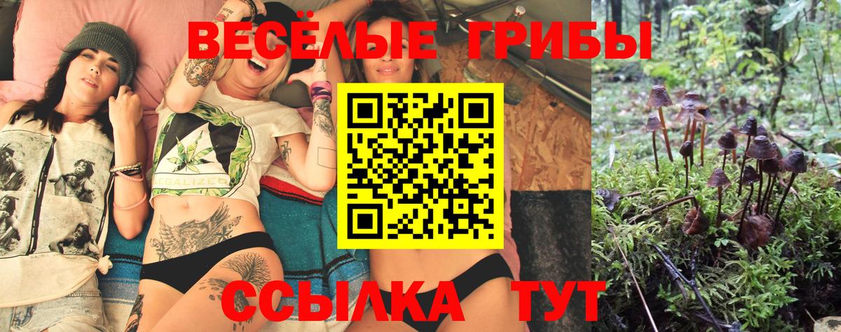 Галлюциногенные грибы Cubensis  купить наркоту  Белорецк  Вход с VPN 